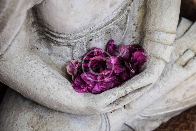 Is Buddhism a Religion or a Philosophy?