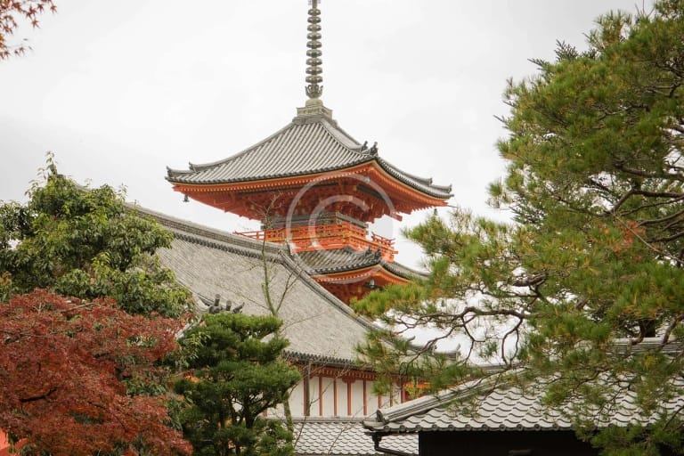 The International Temples Project